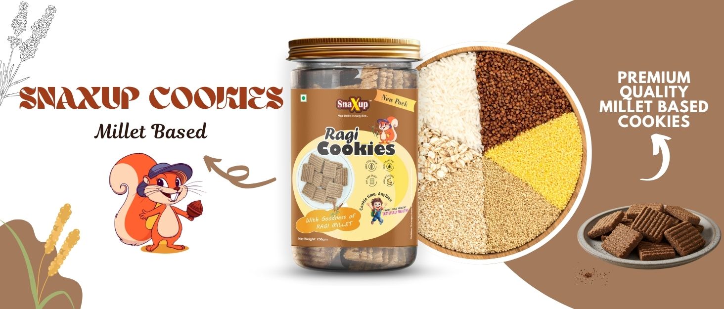 Snaxup Millets Ragi Protein Cookies | Whey Protein, Healthy Flax Seeds | Sugar Free Cookies Biscuits (250g, Ragi Cookies)