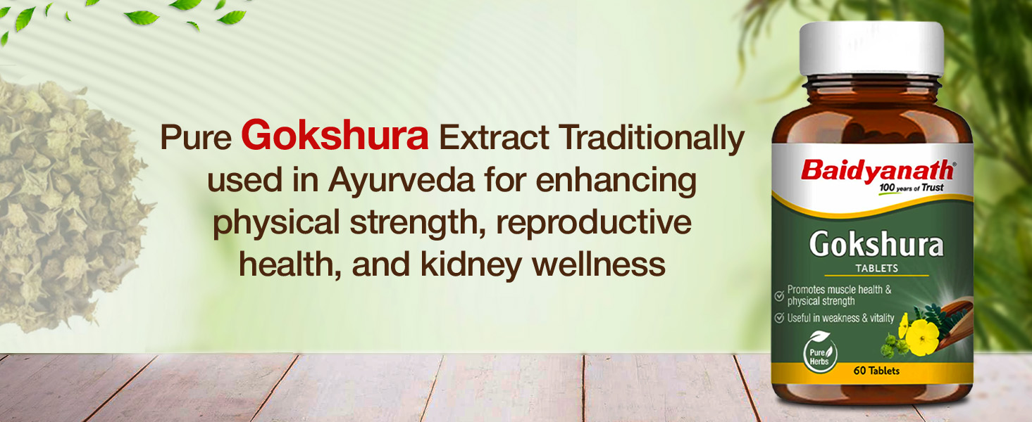 Baidyanath Ayurved Gokshura - 60 Tablets | Supports Strength & Vitality (Pack of 2)