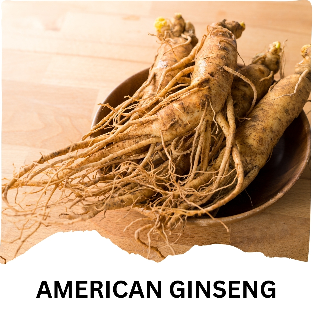 Humming Herbs Rhodiola Rosea | 4in1 | 90 Caps | 1900mg Eq | with Red Korean, Siberian and American Ginseng Root Extract | Stress and Anxiety Relief Supplements
