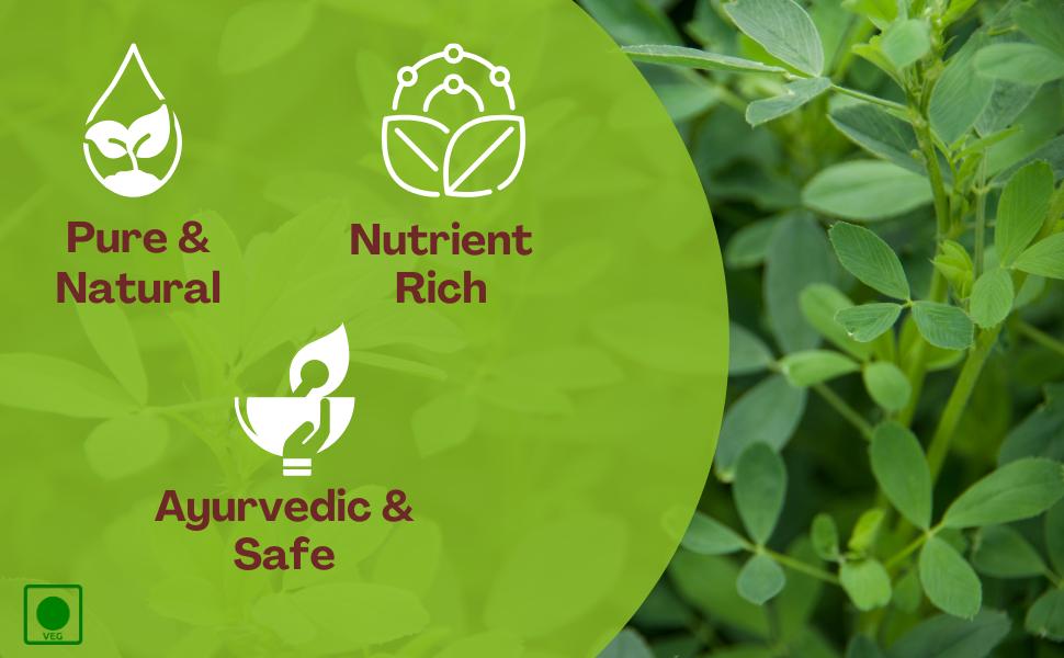 Herbal Hills Punarnava Powder, (100 gm Pack) | Supports Kidney Health & Water Balance | Punarnava Churna For Urinary Wellness & Swelling Relief | With Boerhavia Diffusa Root Pack of 2