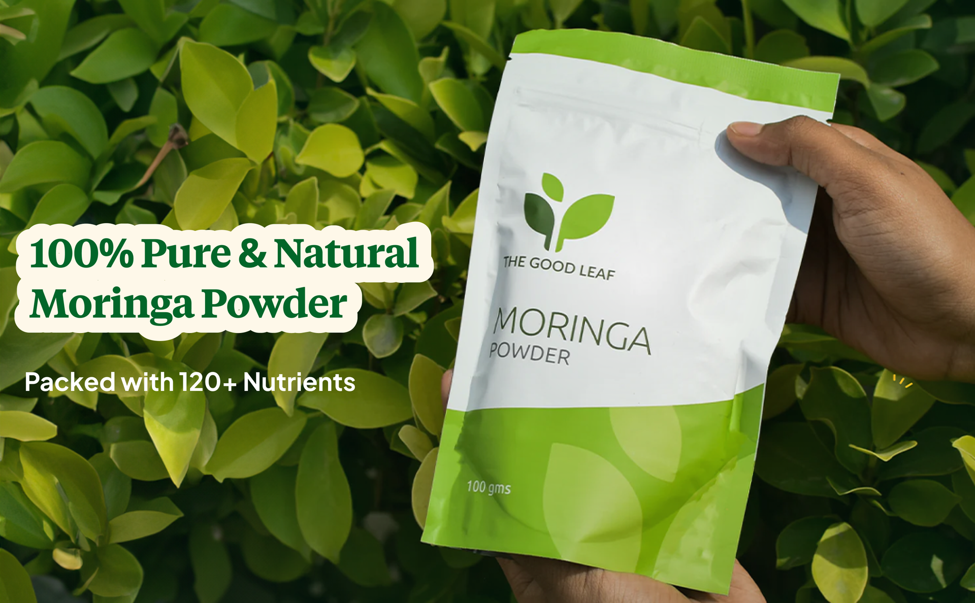 Moringa Powder - 100g | 100% Natural Superfood with 120+ Nutrients, Antioxidants & Vitamins | Supports PCOS, Skin & Hair Health, Digestion & Immunity | Vegan & Preservative-Free