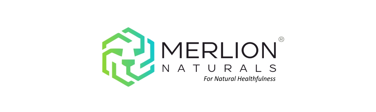 Merlion Naturals Licorice Tablets, Glycyrrhiza glabra, 500mg (120 Tablets)