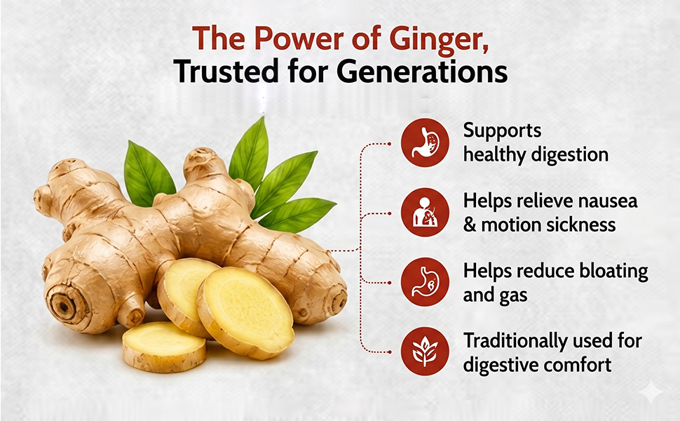 GINGER TABLET Organic Herbal Chewable Ginger Tablets with Orange Flavour | Natural Ayurvedic Sunth (Zingiber Officinale) 250mg | Supports Digestion, Cold & Cough Relief | 100 Tablets
