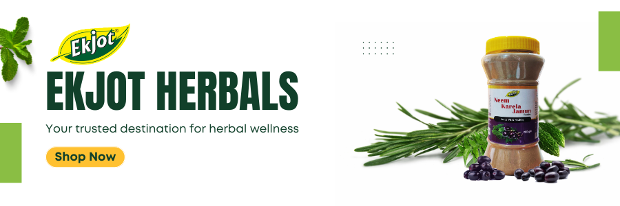 Herbals Neem Karela Jamun Powder | Maintaining Blood Sugar Levels | 100% Natural - No Added Sugar (200gm)