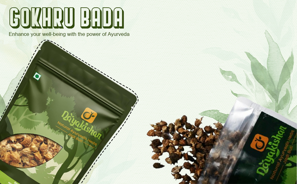 DAYAKISHAN Gokhru Bada 250g - Sabut Gokhru Whole, Gokshura Big, Gokharu Bada, Raw Pedalium Murex | Large Caltrops, Palleru Kayalu, Nerunjil, Sorted and Cleaned, Gokshura Raw Herb