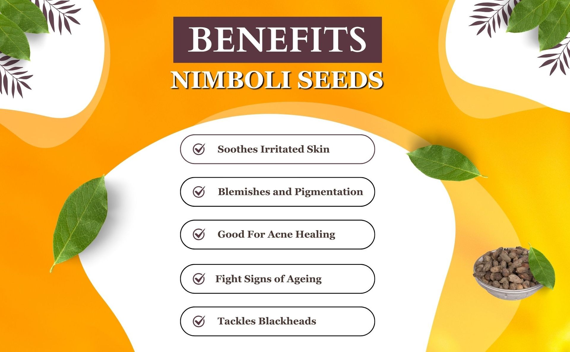 Birju Mahavir 1 KG NEEM SEEDS - NEEM NIBOLI SABUT