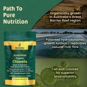 biogenesis-ultimate-green-energy-duo-chl-6.jpg
