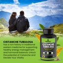 organic-cistanche-tubulosa-standardised--5.jpg