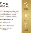 solgar-vitamin-b12-500-mcg-250-vegetable-4.jpg