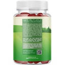 usda-organic-kids-probiotic-gummies-gut--2.jpg