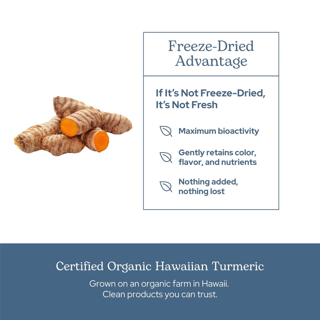 eclectic-herb-organic-turmeric-capsules--5.jpg