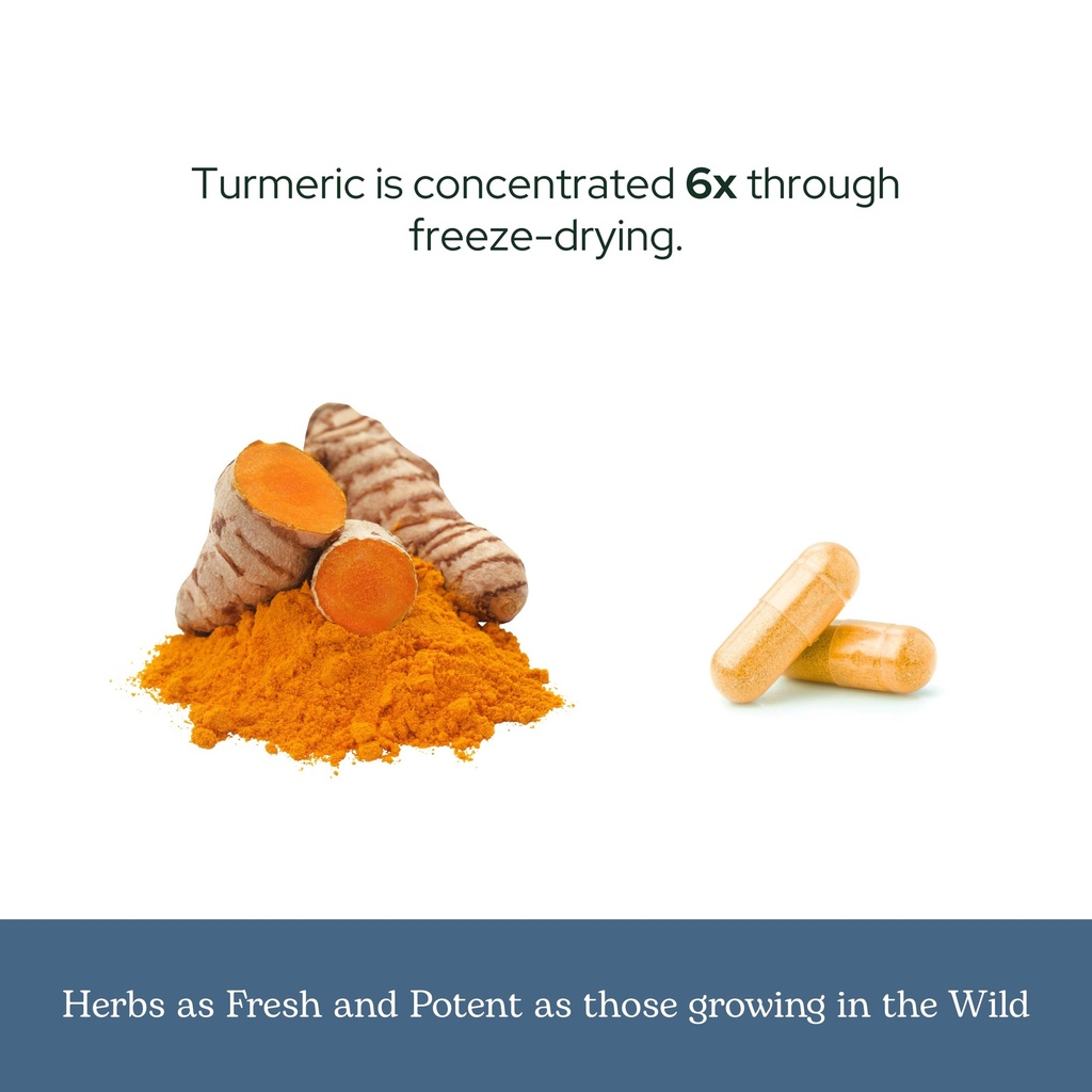 eclectic-herb-organic-turmeric-capsules--6.jpg