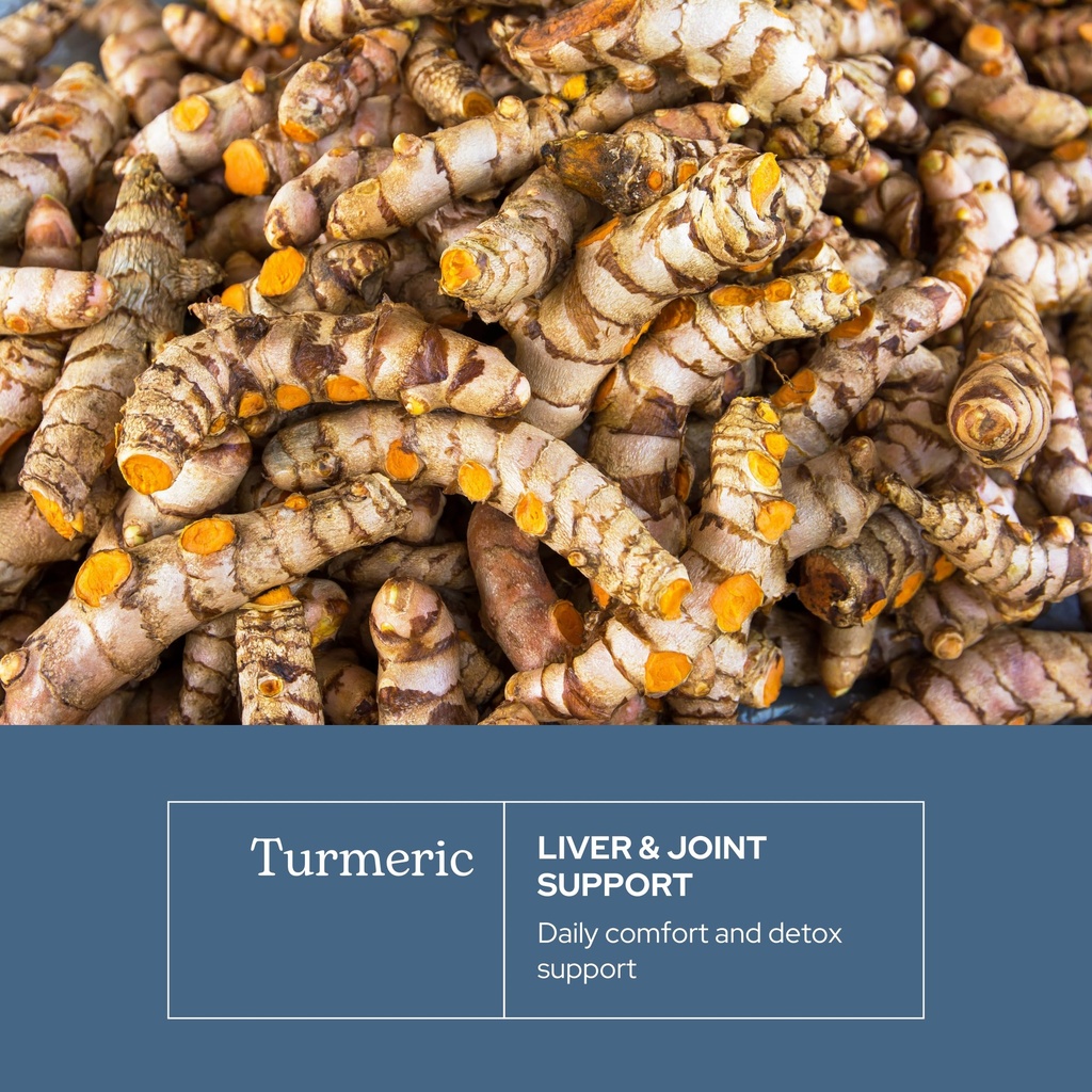eclectic-herb-organic-turmeric-capsules--3.jpg