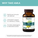 himalaya-organic-amla-amalaki-for-active-3.jpg
