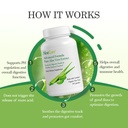 aloecure-aloe-vera-capsules-made-with-or-3.jpg