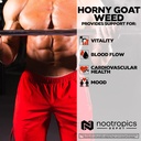 nootropics-depot-horny-goat-weed-capsule-5.jpg