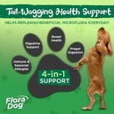 vital-planet-flora-dog-probiotic-powder--4.jpg