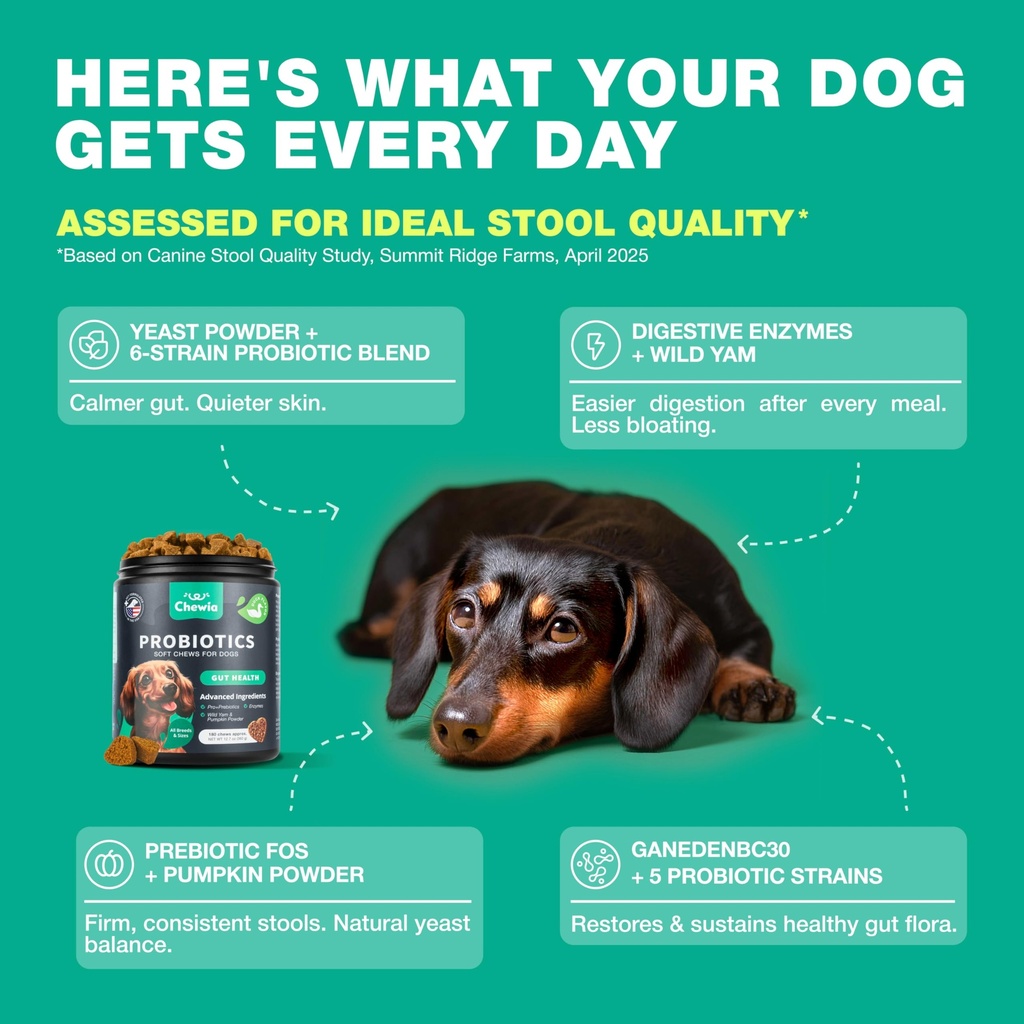 probiotics-for-dogs-gut-health-digestion-4.jpg