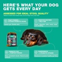 probiotics-for-dogs-gut-health-digestion-4.jpg