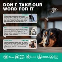probiotics-for-dogs-gut-health-digestion-3.jpg