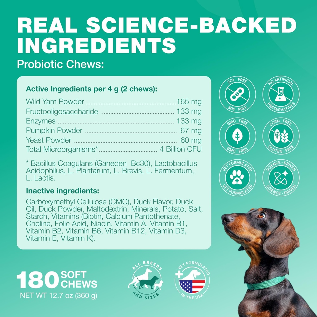 probiotics-for-dogs-gut-health-digestion-5.jpg