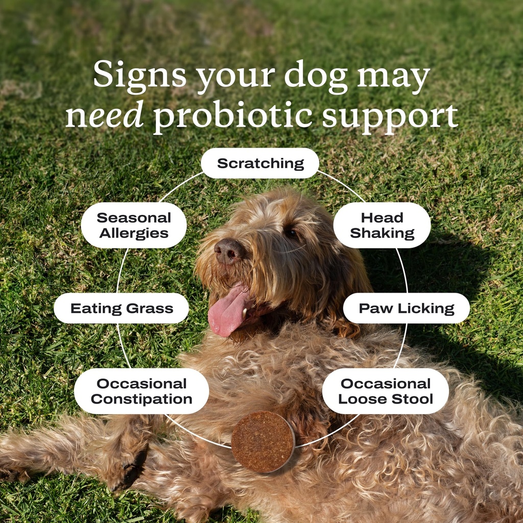 petlab-co-multi-vitamin-dog-probiotic-bu-2.jpg