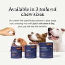 petlab-co-paw-bundle-specialized-dog-pro-3.jpg