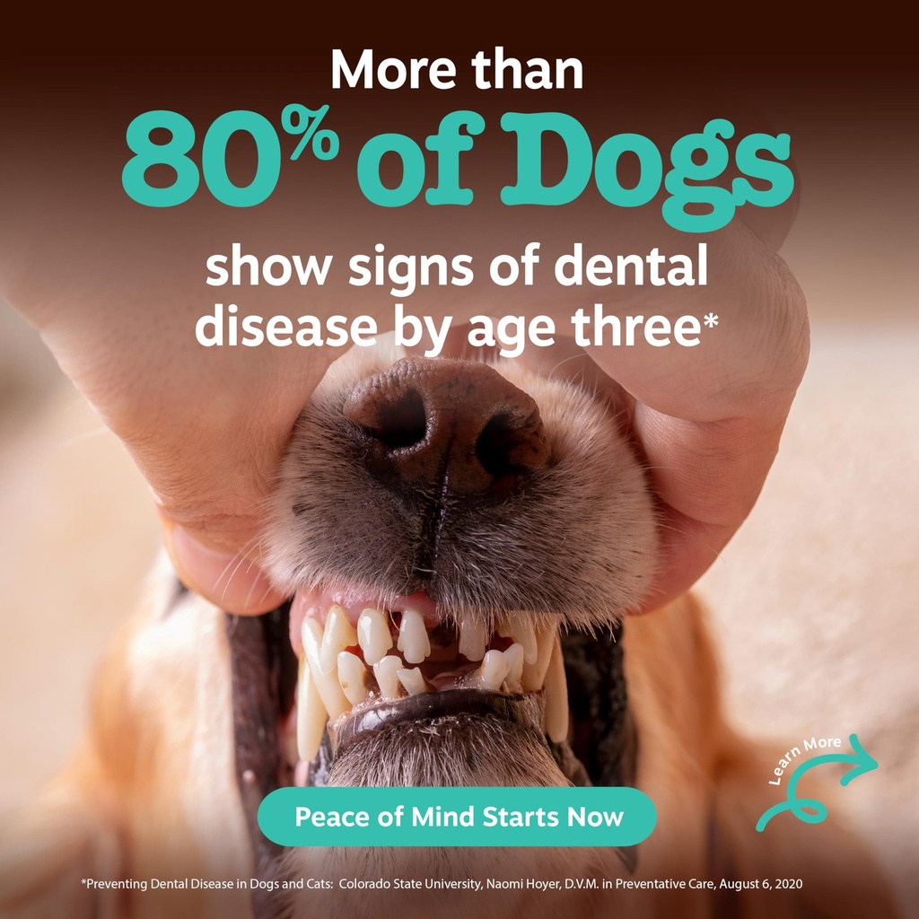 zesty-paws-probiotic-dental-powder-for-d-2.jpg