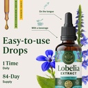 herbamama-lobelia-tincture-vegan-lobelia-6.jpg