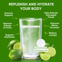 venture-pal-sugar-free-electrolyte-powde-5.jpg