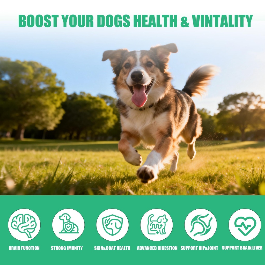 dog-vitamins-and-supplements-16-in-1-mul-5.jpg
