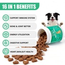 dog-vitamins-and-supplements-16-in-1-mul-3.jpg