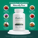 natural-blood-sugar-support-supplement-h-4.jpg