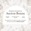 anima-mundi-apothecary-schisandra-rose-e-6.jpg