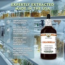 chlorella-chlorella-vulgaris-dry-entire--4.jpg