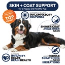 omega-3-for-dogs-250-fish-oil-chews-for--5.jpg