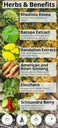 happy-healthy-hippie-pick-me-up-natural--6.jpg