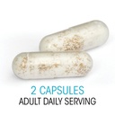 silver-fern-brand-family-probiotics-ulti-4.jpg