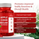 apple-cider-vinegar-acv-gummies-60-count-4.jpg