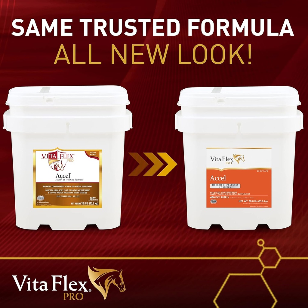 vita-flex-pro-accel-health-wellness-form-2.jpg