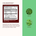 herbs-etc-chloroxygen-chlorophyll-concen-3.jpg