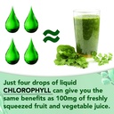 liquid-chlorophyll-drops-chlorophyll-liq-6.jpg