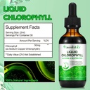 liquid-chlorophyll-drops-chlorophyll-liq-2.jpg