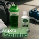 liquid-chlorophyll-16oz-natural-mint-fla-6.jpg