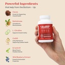 vital-bp-support-for-normal-blood-pressu-3.jpg