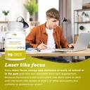 pure-nootropics-dynamine-methylliberine--3.jpg