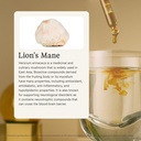 rainbo-lion-s-mane-mushroom-tincture-dua-3.jpg