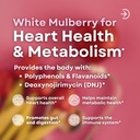 white-mulberry-leaf-extract-1000mg-12-1--3.jpg