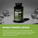mullein-leaf-capsules-for-respiratory-he-4.jpg
