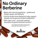 betivite-berberine-supplements-berberine-3.jpg